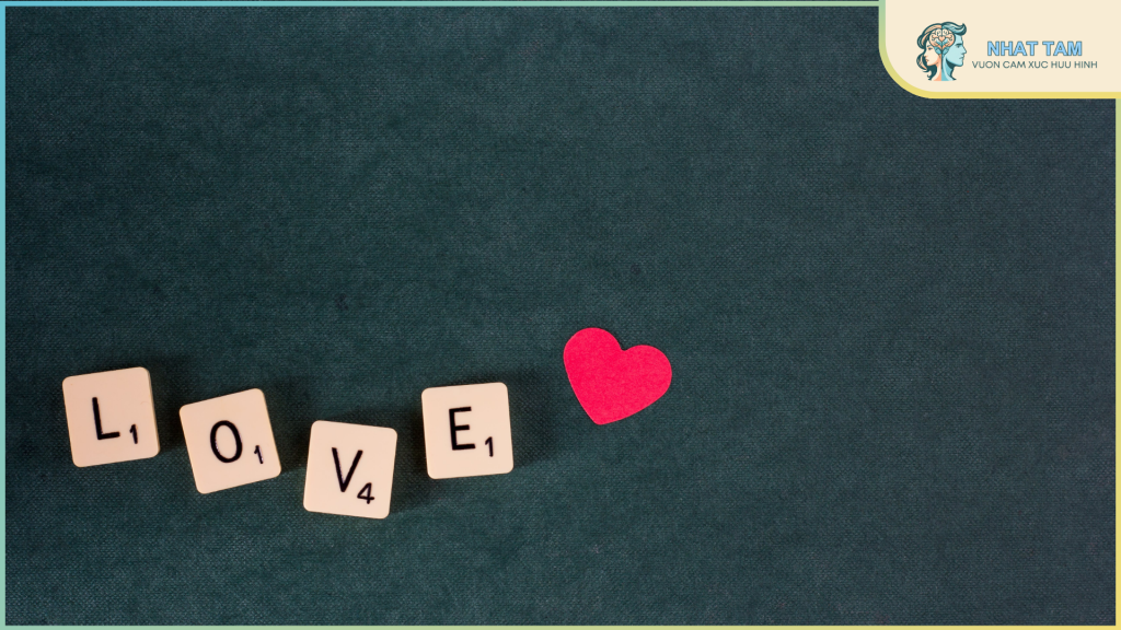 Chàng Trai Tôi Thầm Thương Trộm Nhớ