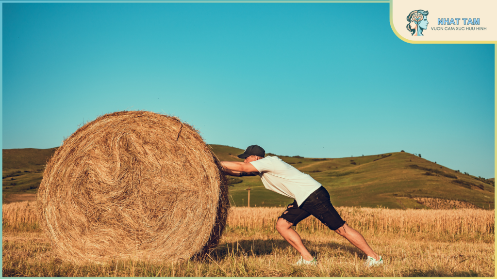 Nters nghĩ gì: Mình tin là cứ mở lòng thì sẽ gặp sếp tốt