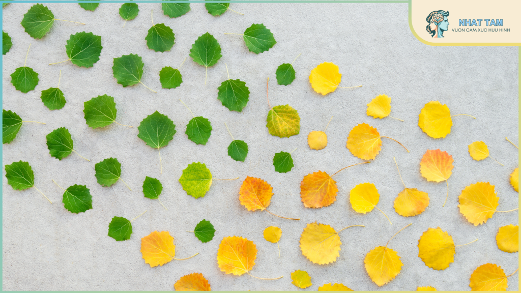 Cách chuyển cảnh mượt mà trong bài viết và tiểu thuyết