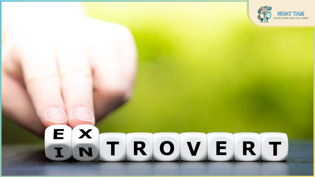 Hướng ngoại là gì? Xây dựng nhân vật hướng ngoại lôi cuốn