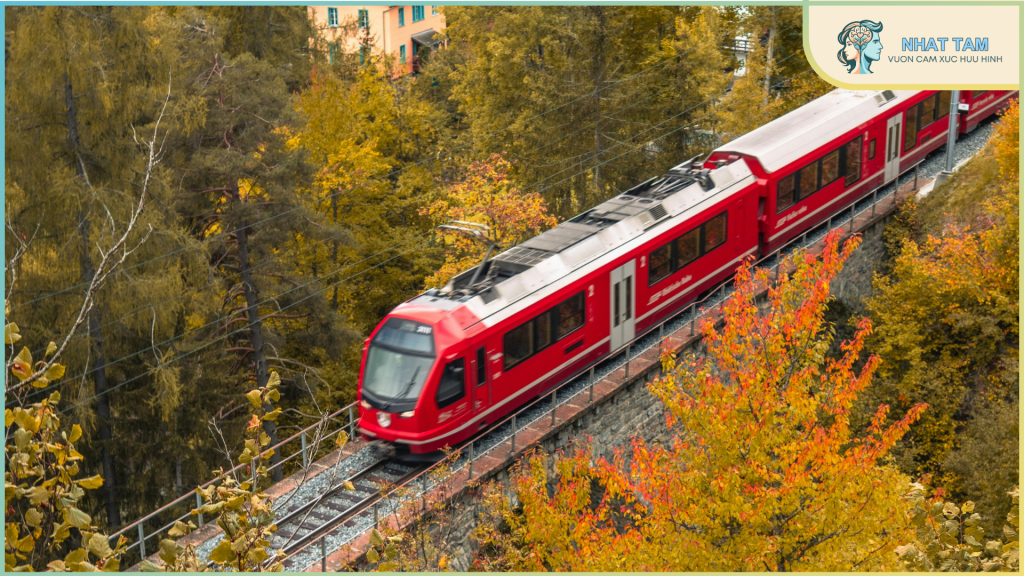 Hero’s Journey: Hướng dẫn 12 bước tạo cốt truyện hành trình của anh hùng