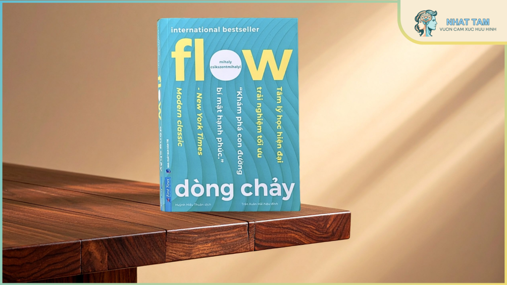 Review sách Flow – Dòng Chảy: Hành trình khám phá dòng chảy tập trung
