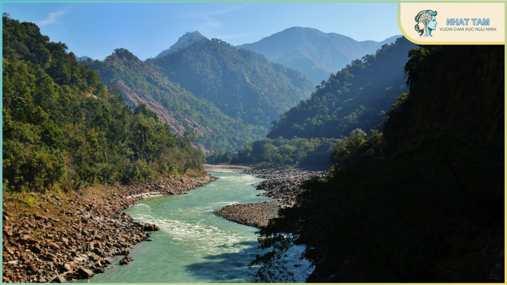 Review sách Hành Trình Về Phương Đông